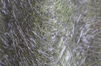 Lydstep fibreglass roof work